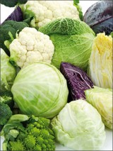 Health Tips for Preventing Cancer