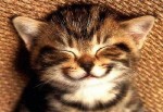 The Power of Smile
